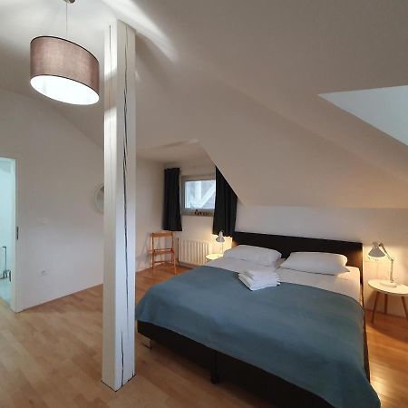 Charming Apartment Mila In Privat House With Free Parking 류블랴나 외부 사진