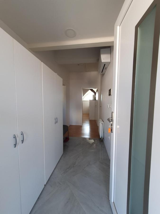 Charming Apartment Mila In Privat House With Free Parking 류블랴나 외부 사진