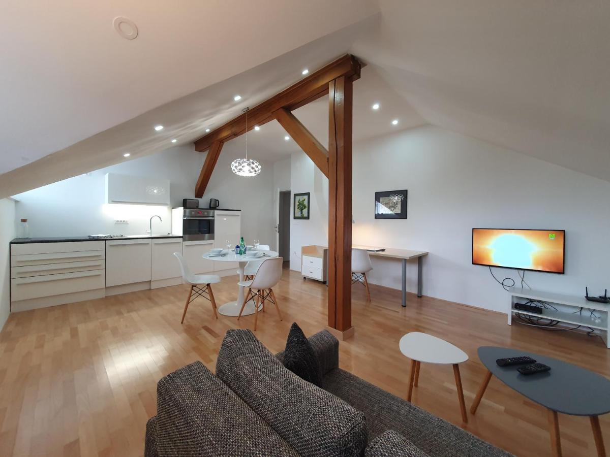 Charming Apartment Mila In Privat House With Free Parking 류블랴나 외부 사진