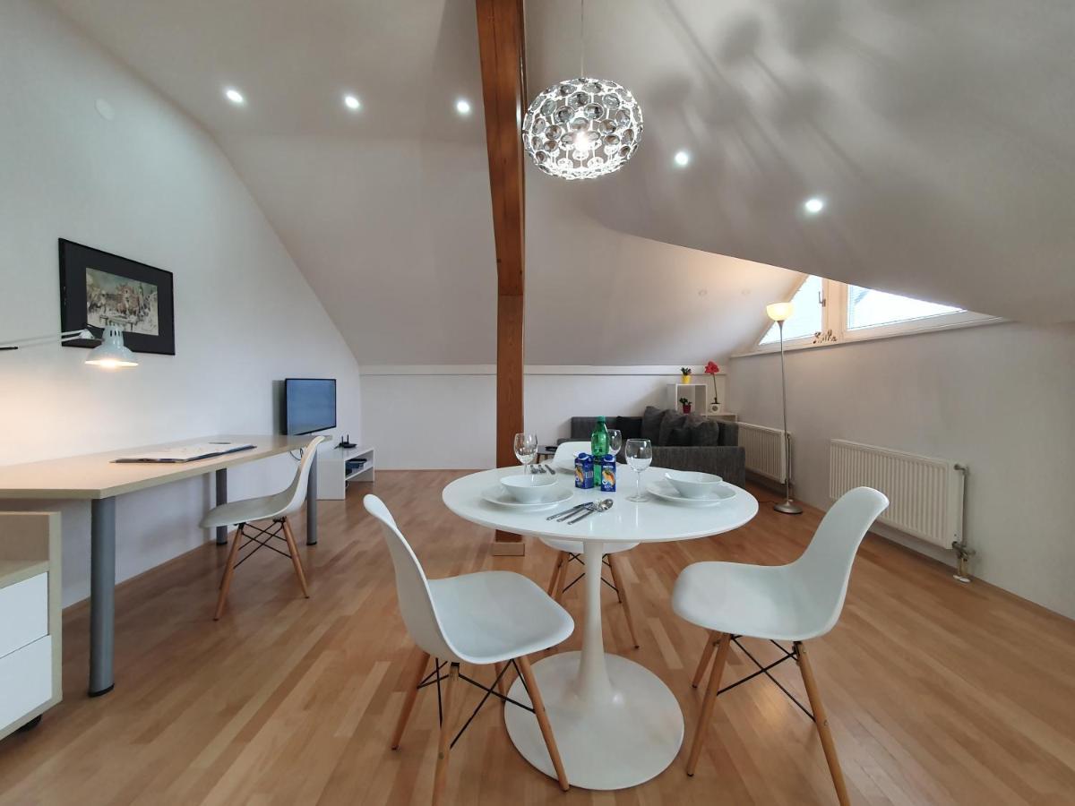 Charming Apartment Mila In Privat House With Free Parking 류블랴나 외부 사진